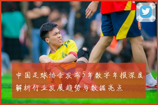 中国足球协会发布5年数字年报深度解析行业发展趋势与数据亮点