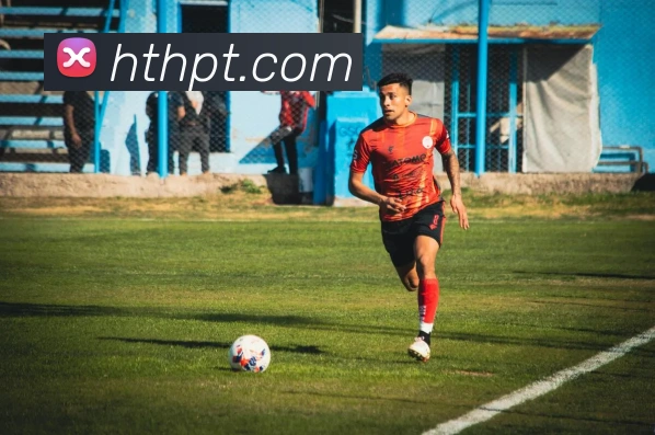 华体会体育平台生态图